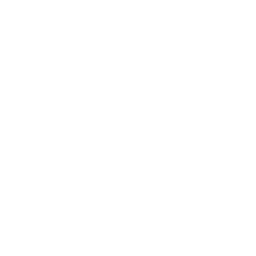 個性を尊重する理念に基づいた支援活動