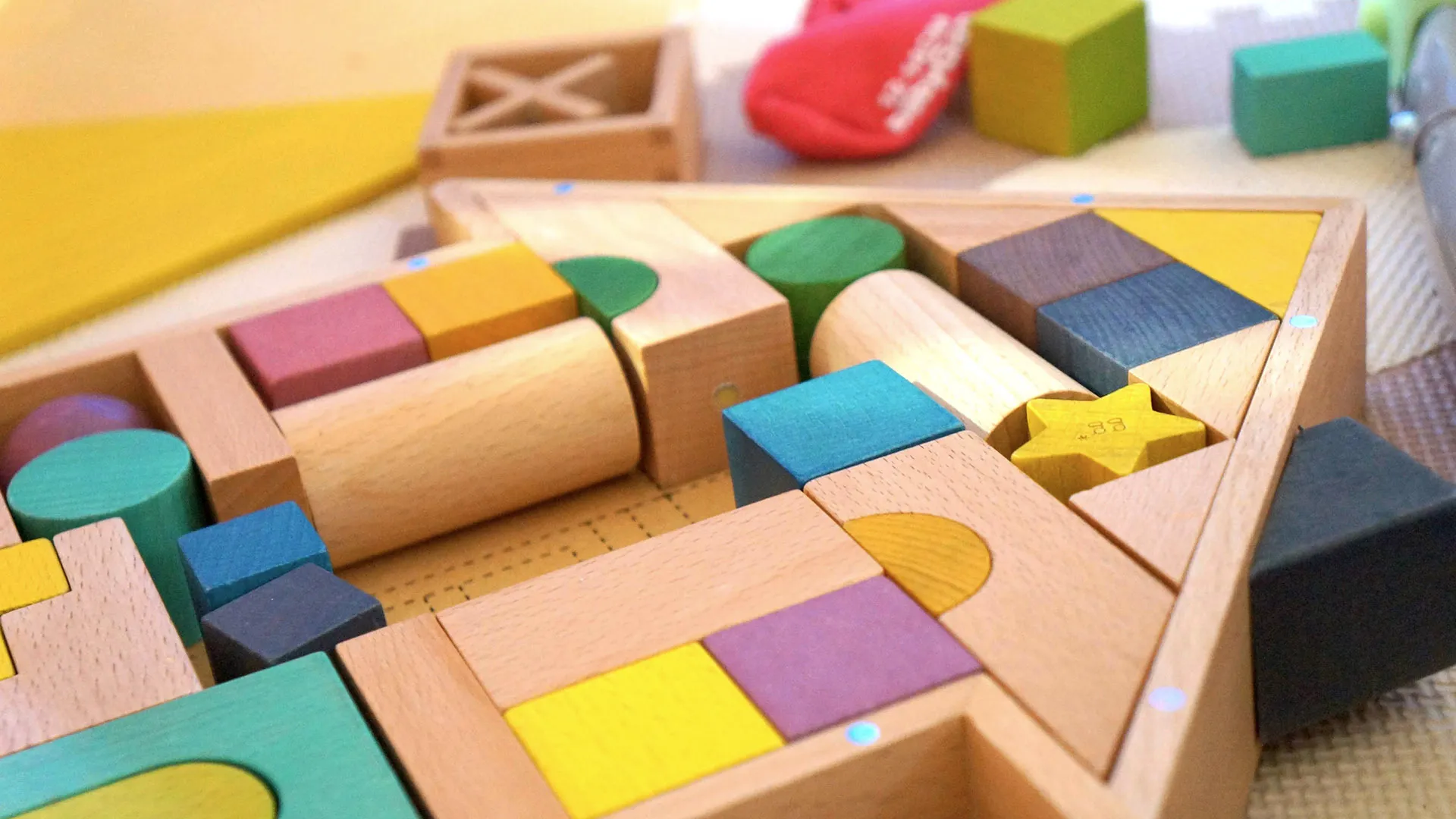 特定非営利活動法人Sea Glass