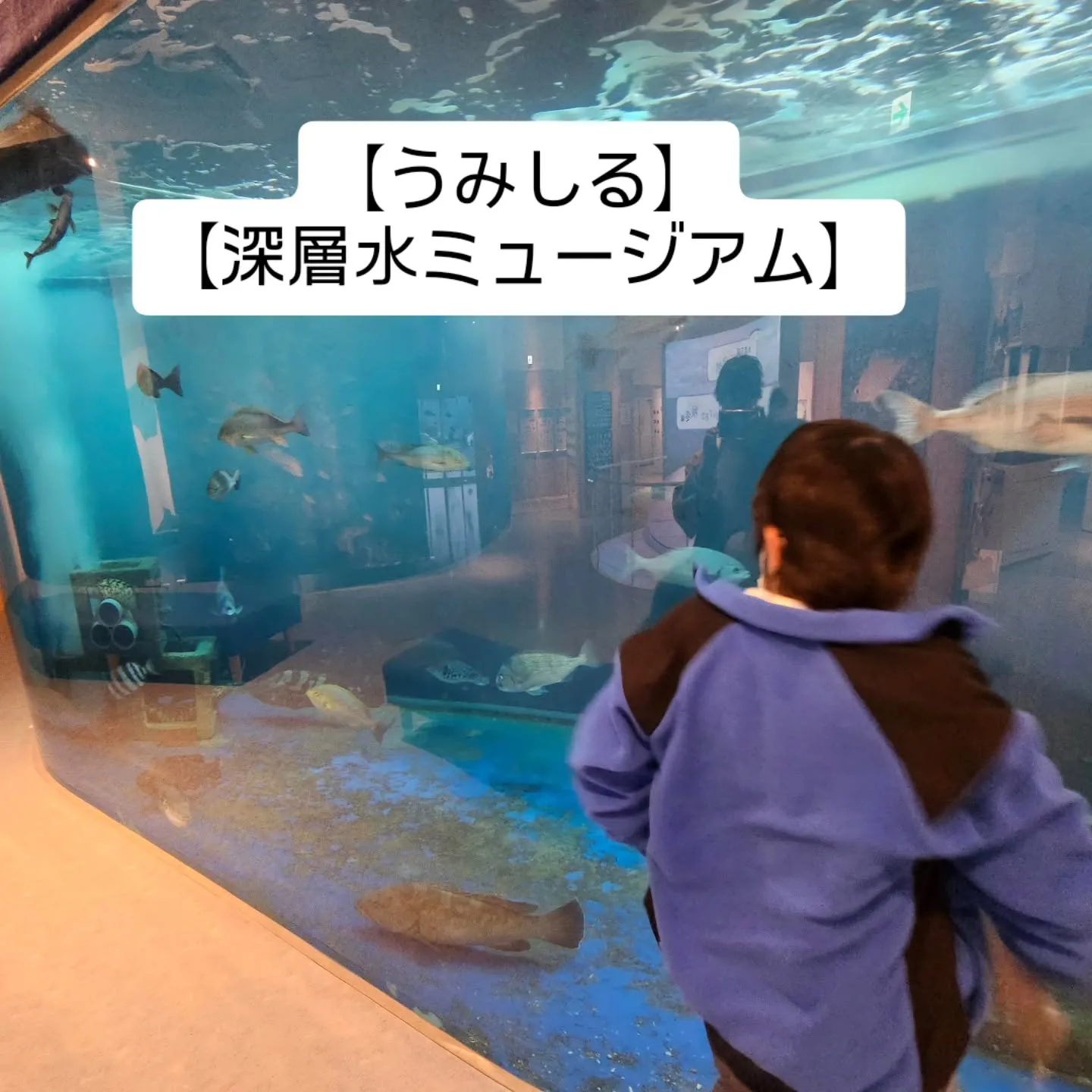 皆様こんにちは！放課後等デイサービス「しーぐらす」です🍀⁡