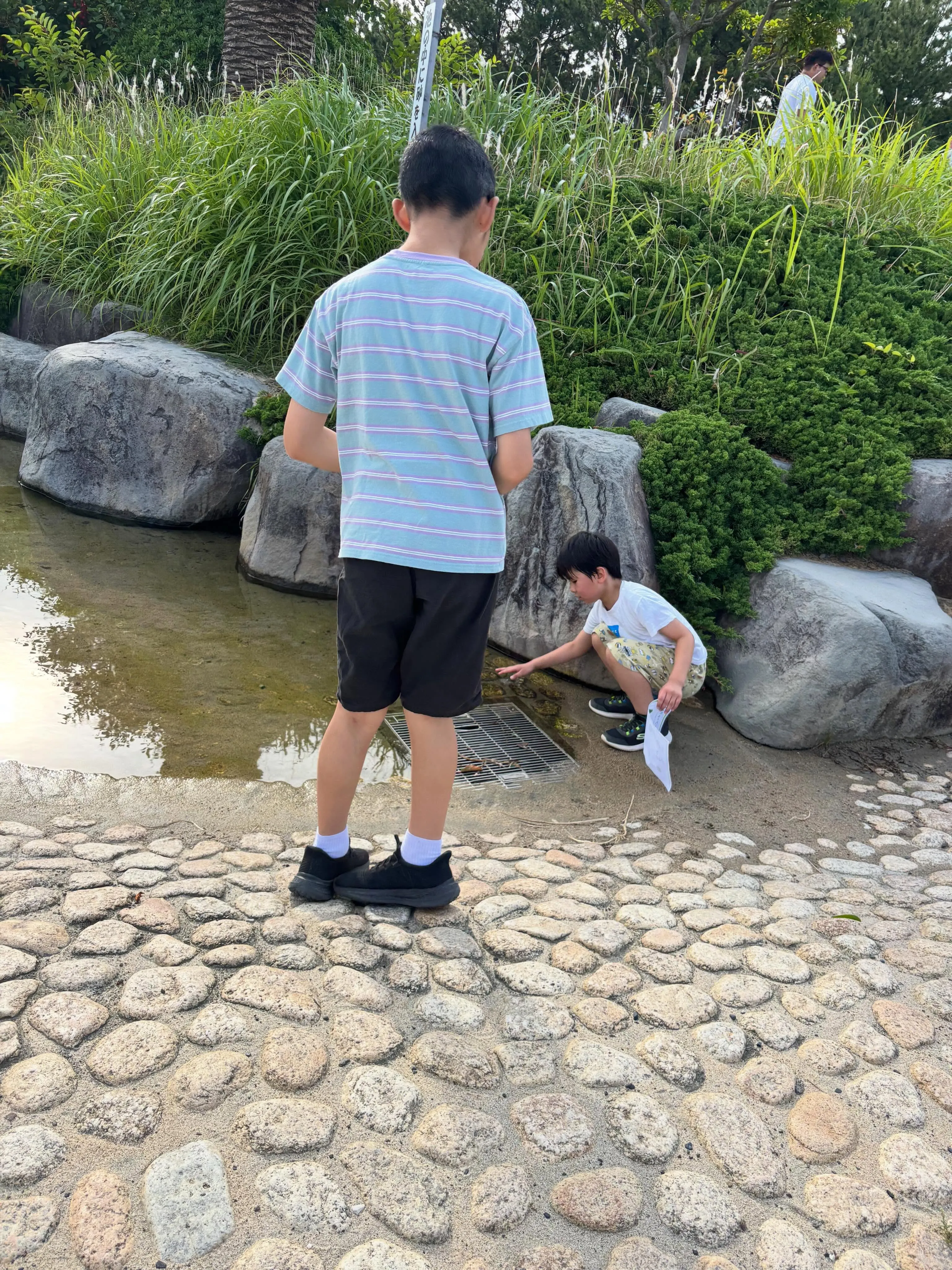 こんにちは!しーぐらすです🍀