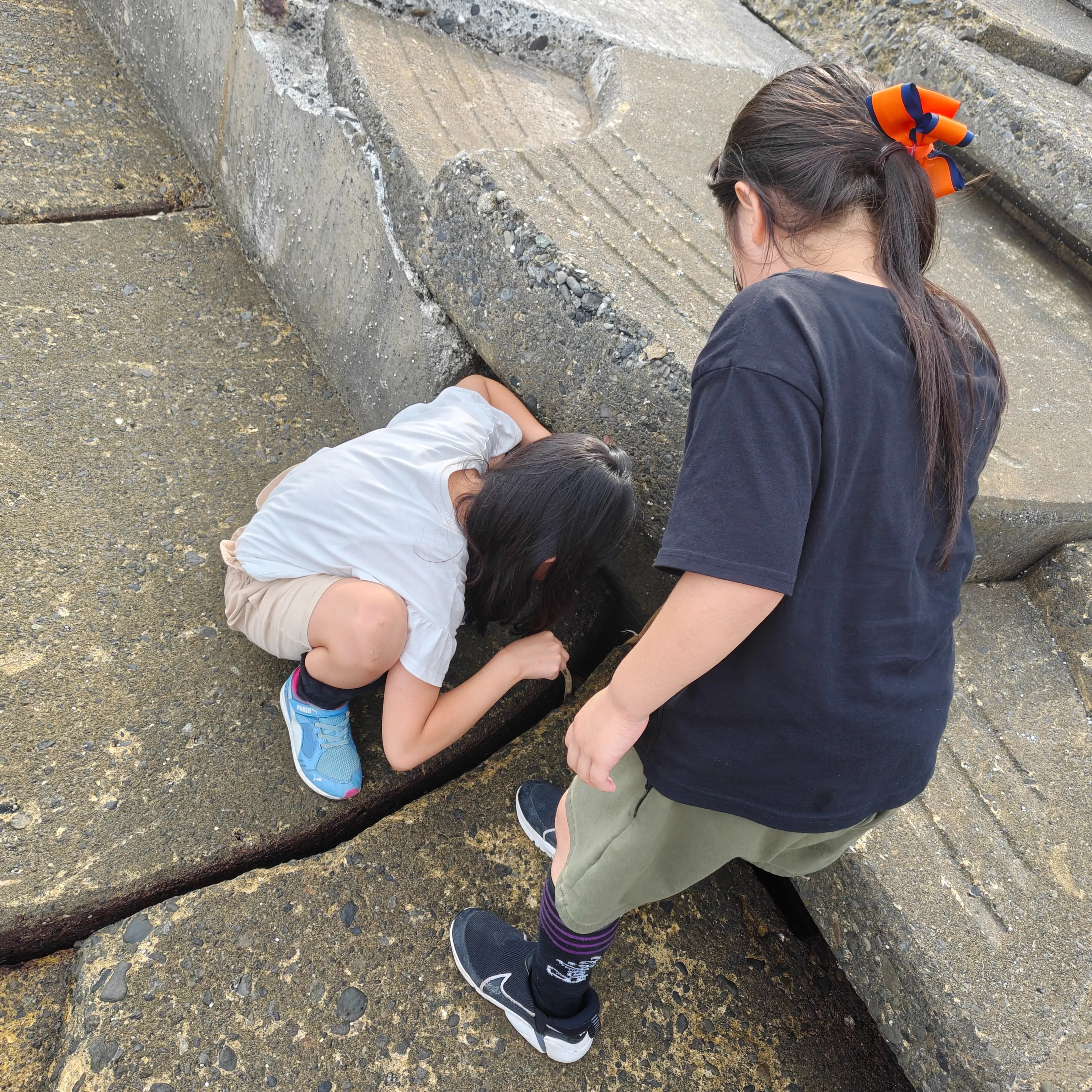 皆様こんにちは！